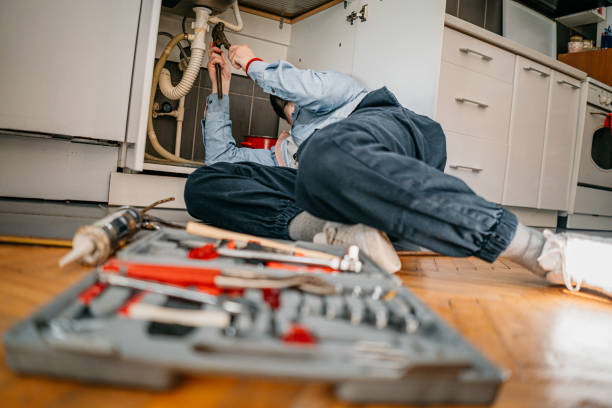 Best Toilet Repair Services  in Argyle, TX
